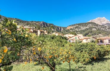 Citrus trees, village and mountain range
