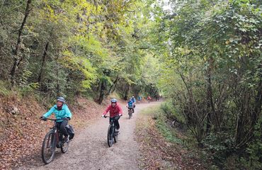Cyclists on track with greenery all around