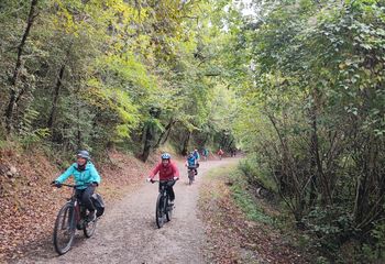 Plazaola Greenway by Bike: From Pamplona to San Sebastian