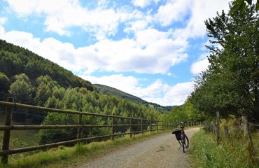 Bike standing in pathway on forested trail