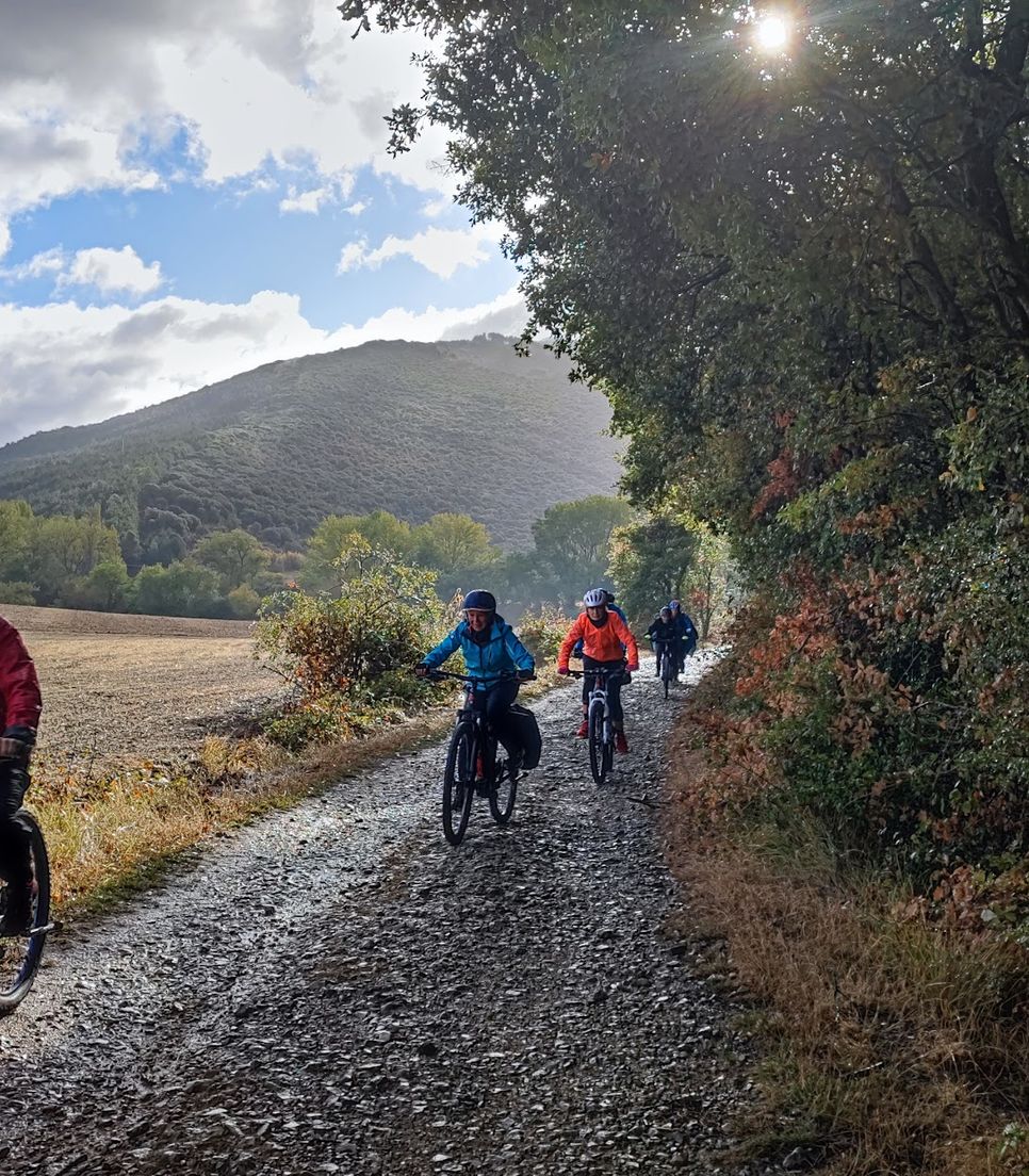 Go on a self-guided bike tour with a partner, friends, or family