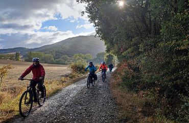 Group of cyclists on trail through countryside