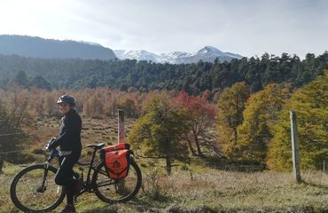 Cyclist with bike infront of forest and mountain scenery
