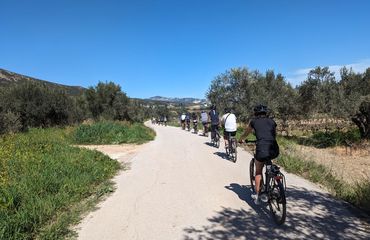 Cyclists on a sunny rural trail