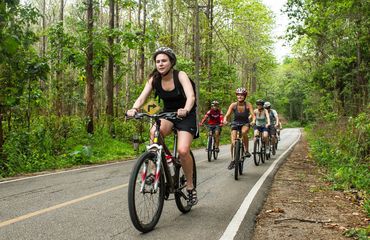 Cyclists riding on road past forests
