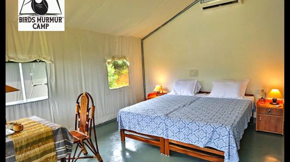 Where nature and birdlife surround your glamping stay