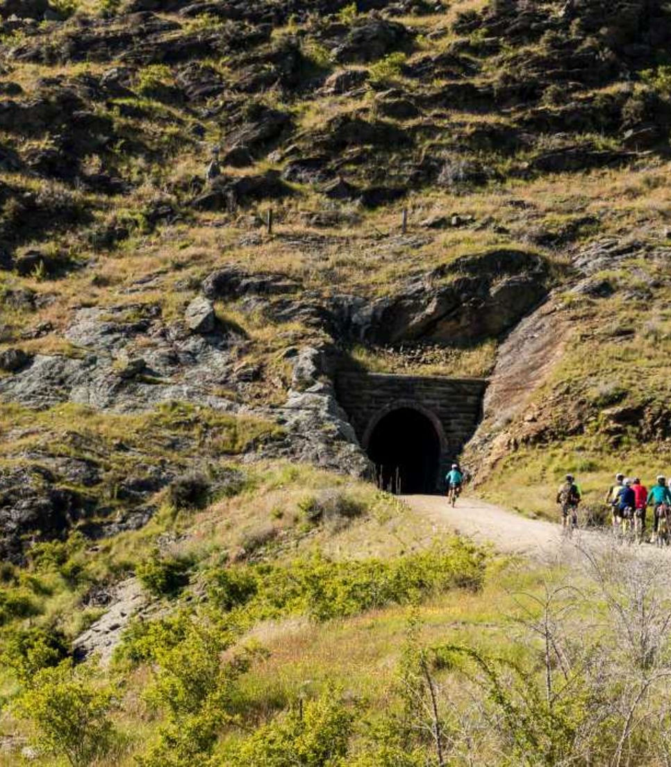Ride across historic bridges and through old railway tunnels on some of New Zealand’s finest cycling trails