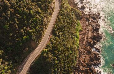 Road running through the trees next to the sea
