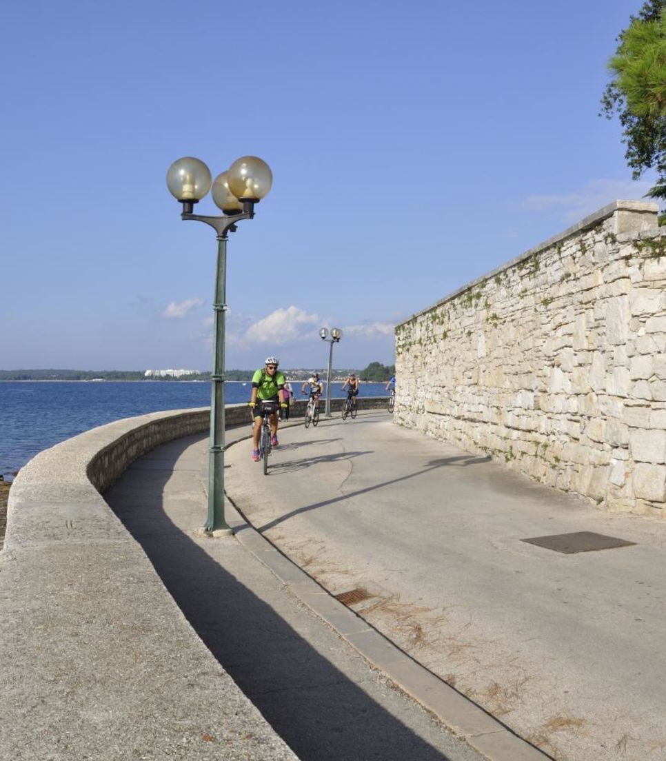 Cycle leisurely across Istria and appreciate the sublime scenery