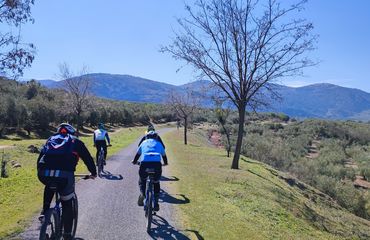 Cyclists along a pathway with greenery on both sides and mountains in background