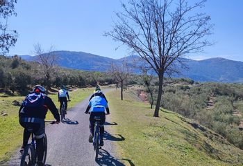 Olive Oil Greenway by Bike: Jaén to Puente Genil