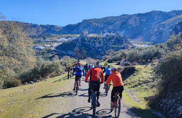 Cyclists on country pathway