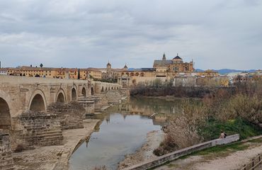 Historic town and bridge
