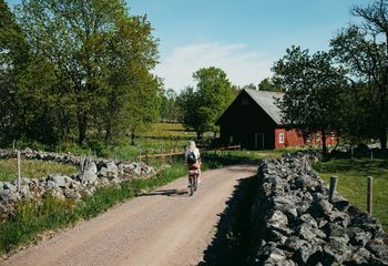 Swedish Cycle Tour: From Forest to Fairytales 