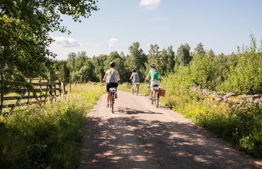 Cyclists on rural road