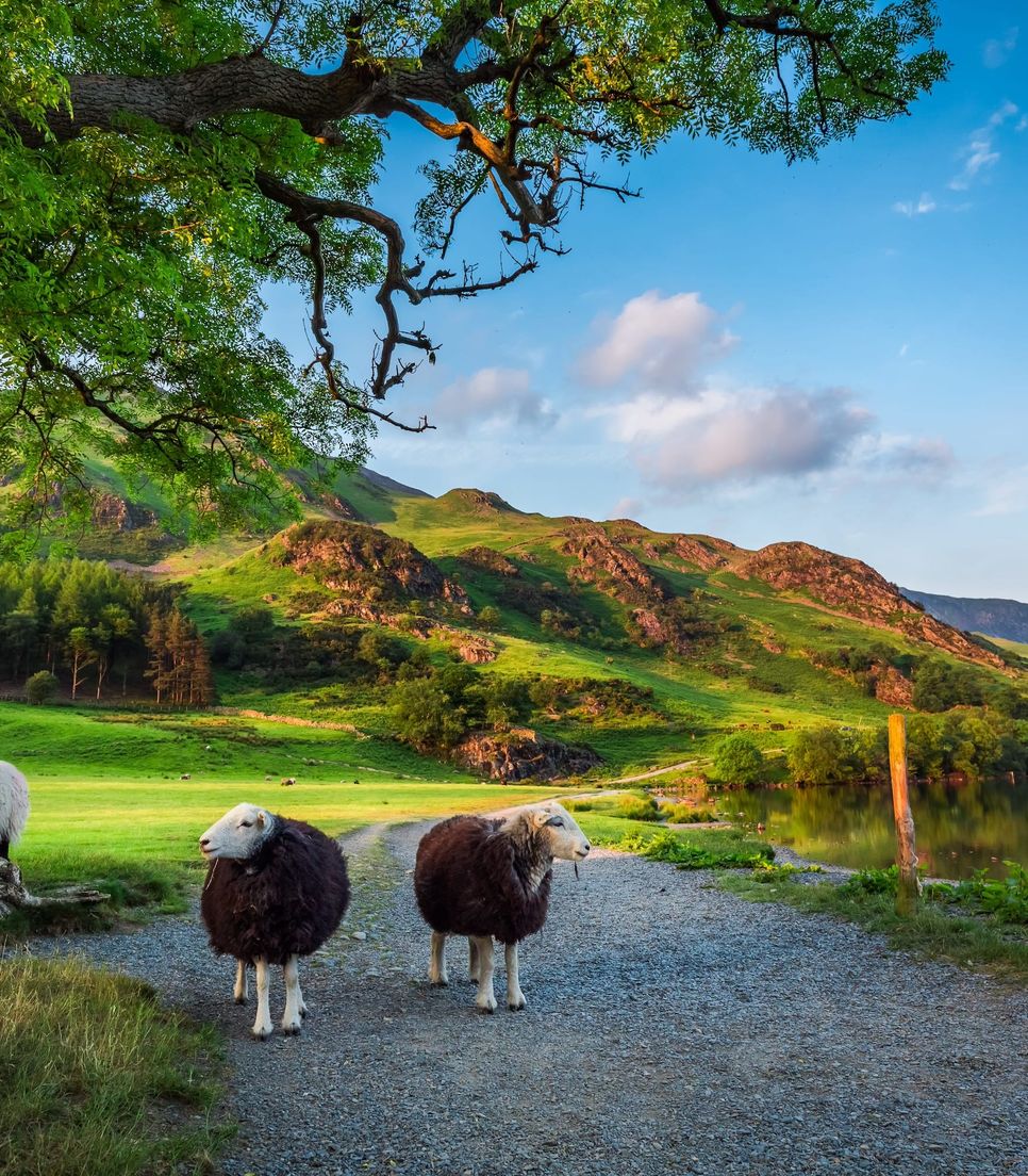 Explore the tranquility and peace of this lovely region