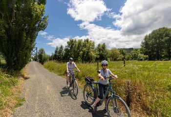 Hauraki Rail Trail Day Ride: Easy Cheesy