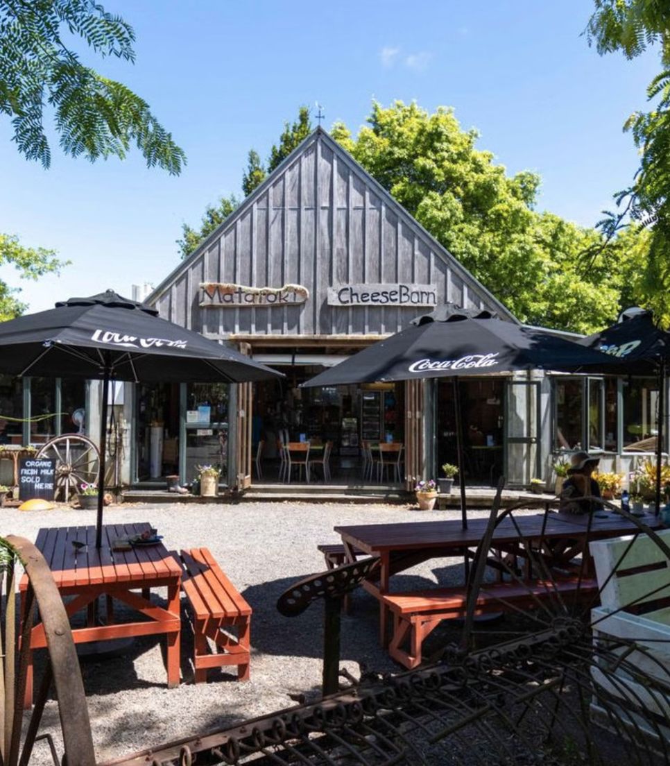 Have morning tea at the Matatoki Cheese Barn during your ride on day 2