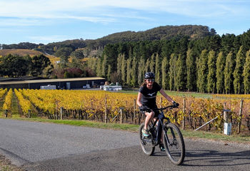 3-Day Adelaide to McLaren Vale E-Bike Tour