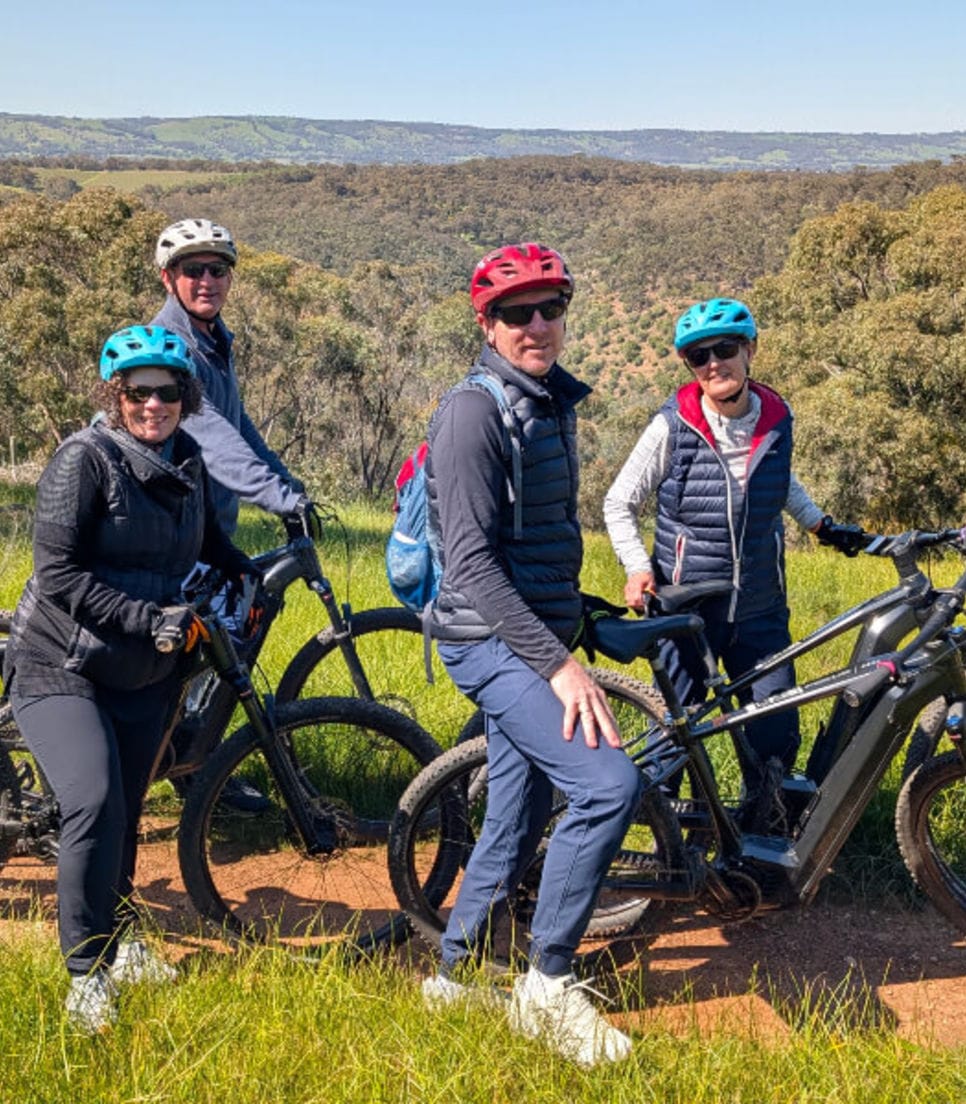 Experience a leisurely cycle tour 