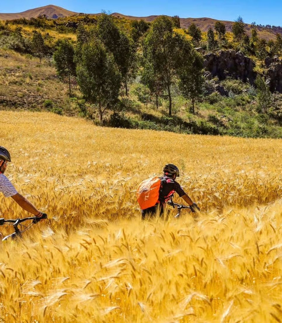Discover the land of the Incas on this extraordinary ride