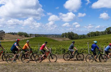 Group of cyclists on the road