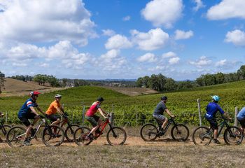 Self-Guided Adelaide E-Bike Wine Tour