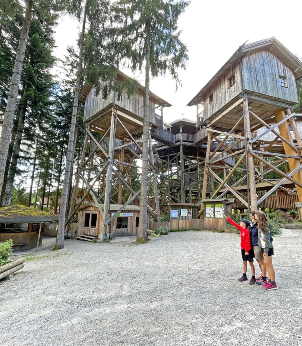 Let kids explore and wander as they learn about their surroundings
