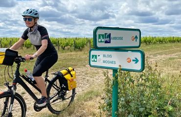 Cyclist riding past a sign