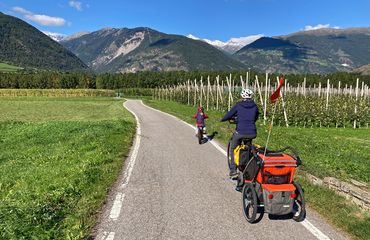 Two cyclists cycling on a path