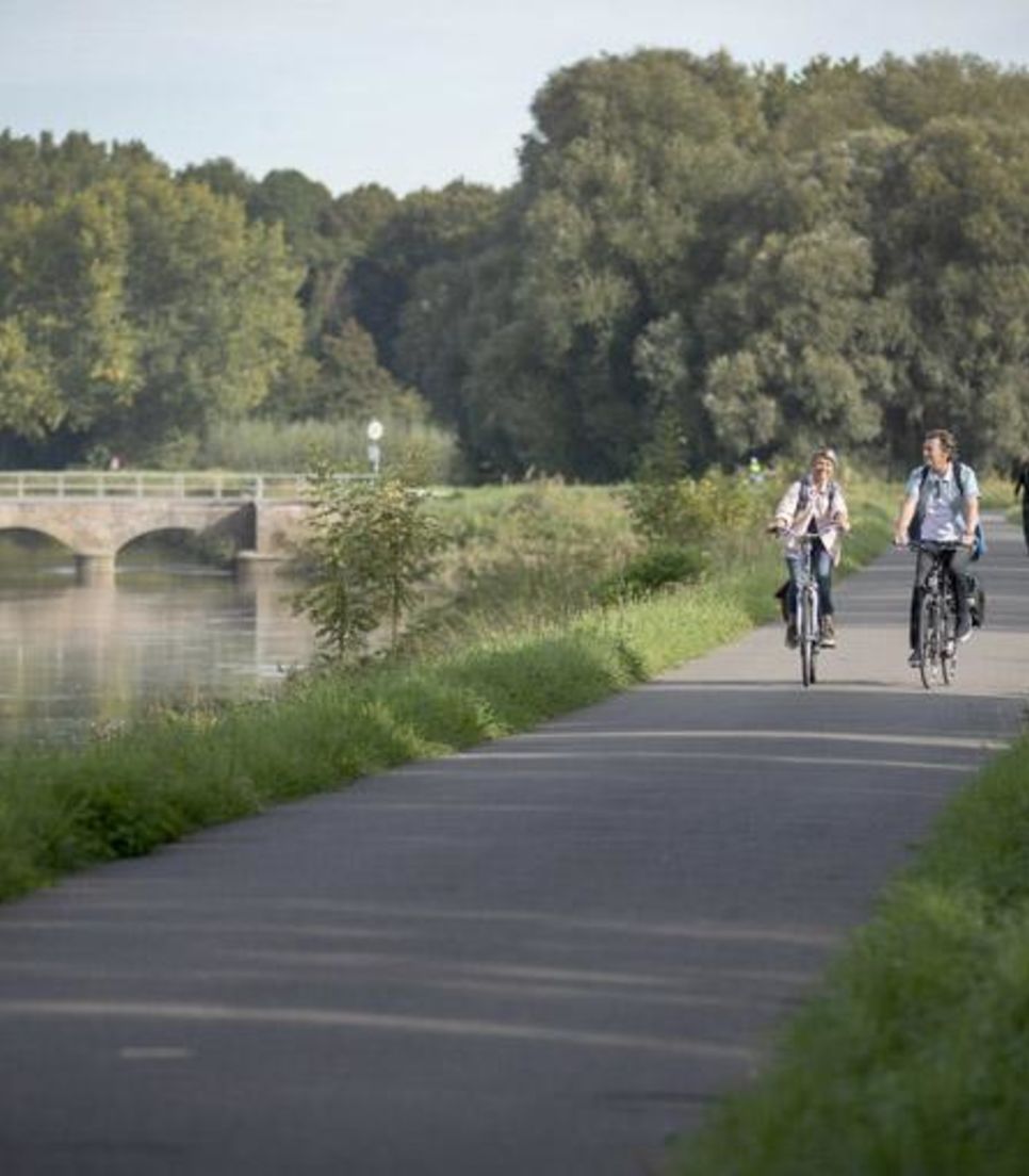 Cycle through the Scheldt floodplains and see how innovative engineering protects the area from flooding while creating a haven for wildlife