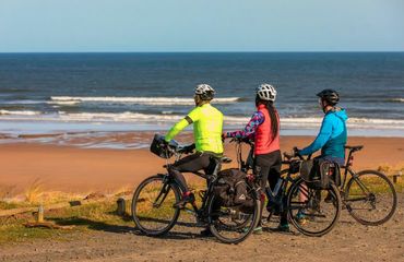 Three cyclists looking at ocean
