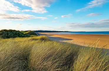 View of sandy beach with long grasses in the foreground