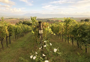 Cycle from Florence to Rome
