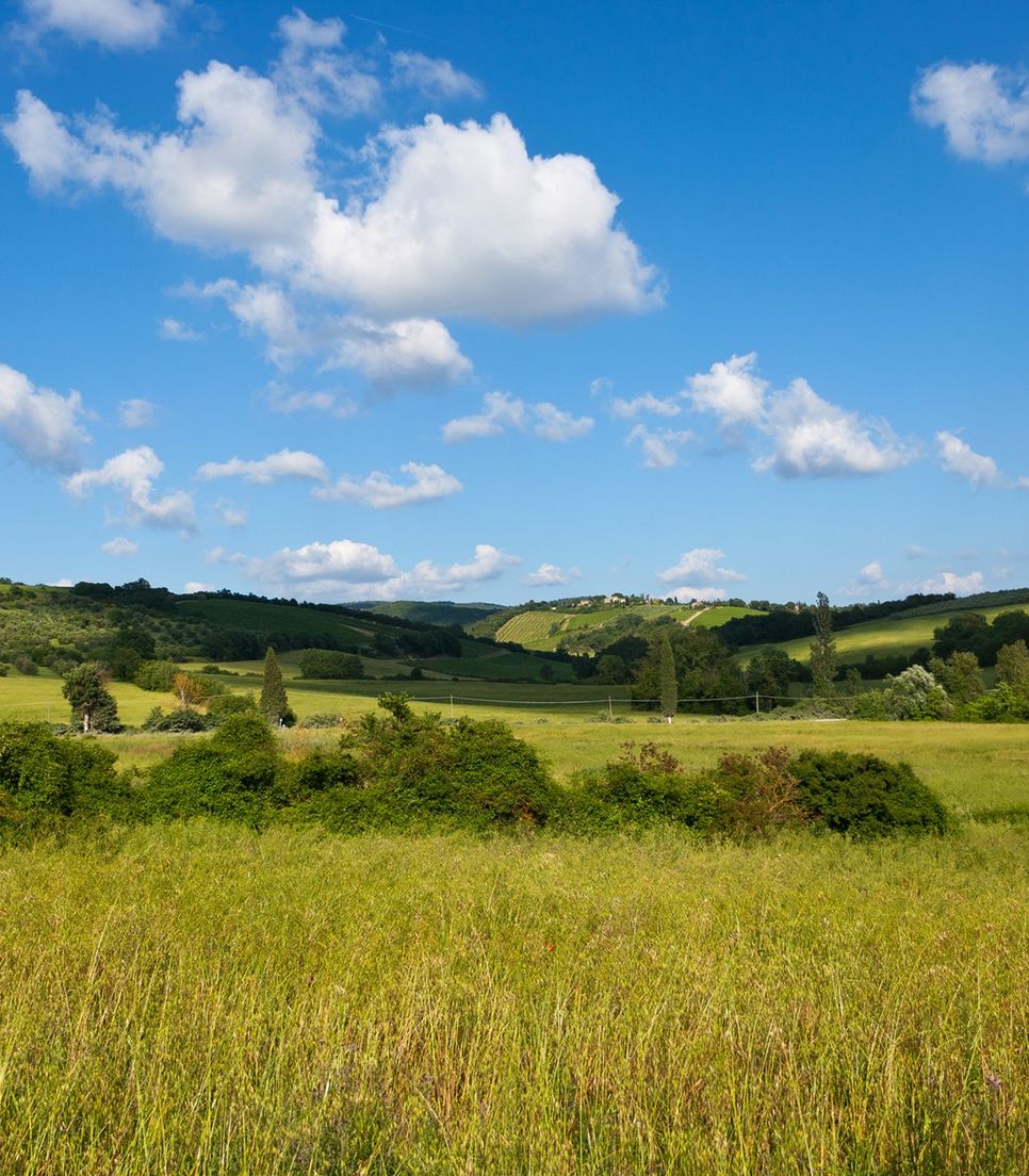Follow scenic cycling routes through quiet countryside, rolling hills and charming rural landscapes.
