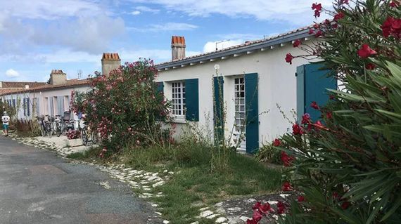 Discover this peaceful island on two wheels, following quiet paths past sandy beaches, salt marshes and secluded coves.