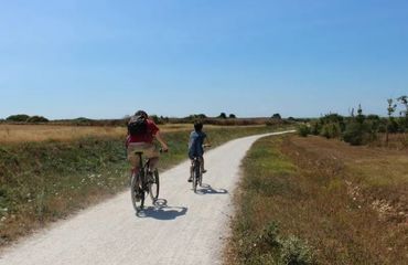 Two cyclists on a path