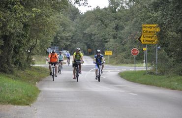 Cyclists on the road