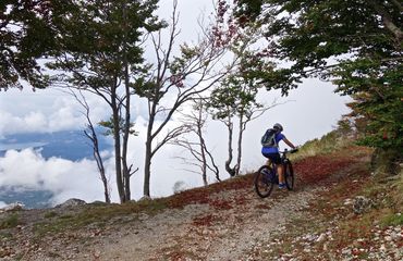 Cyclist on mountain