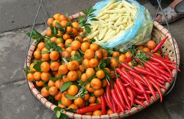Fruits and vegetables