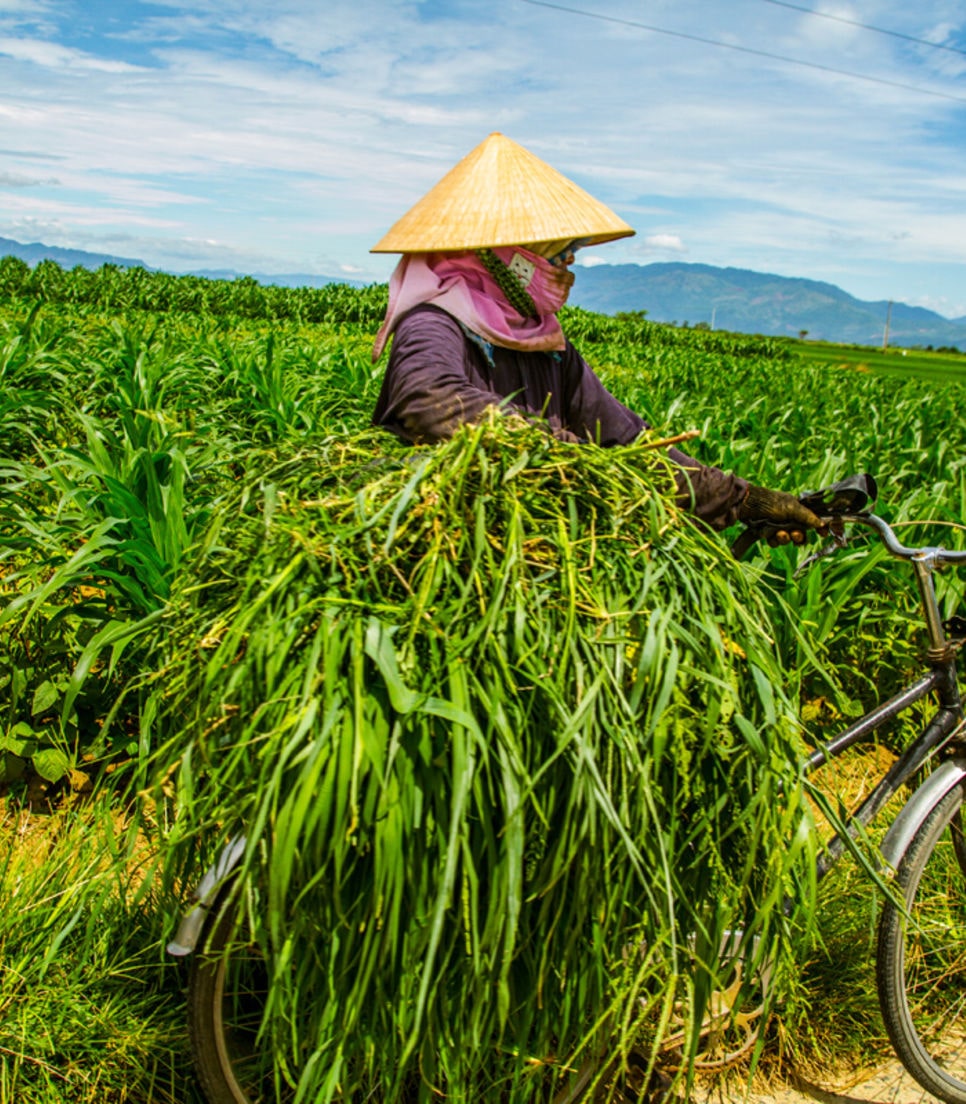 See the ingenious ways that Vietnamese use their bike