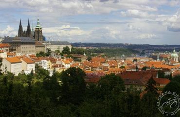 Rooftop view of Prague
