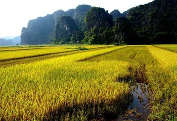Red River Delta by Bike and Boat