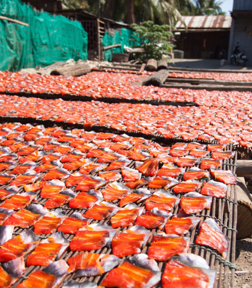 Go straight to the food source and sample fresh delicacies