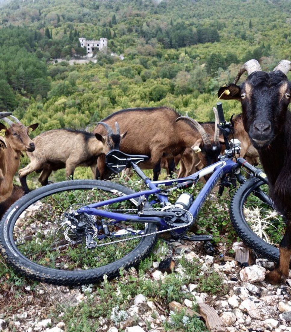 Experience the rural magic of the Balkans and meet some friendly goats along the way