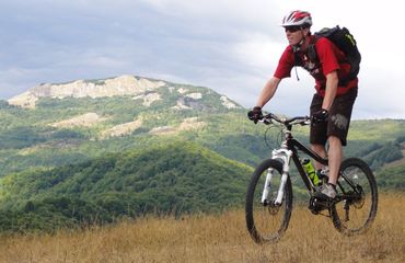 Cyclist standing on pedals with scenic mountain backdrop