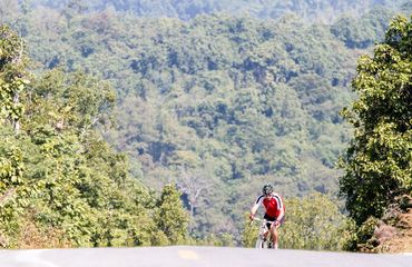 Cyclist coming up a hill with lush landscape