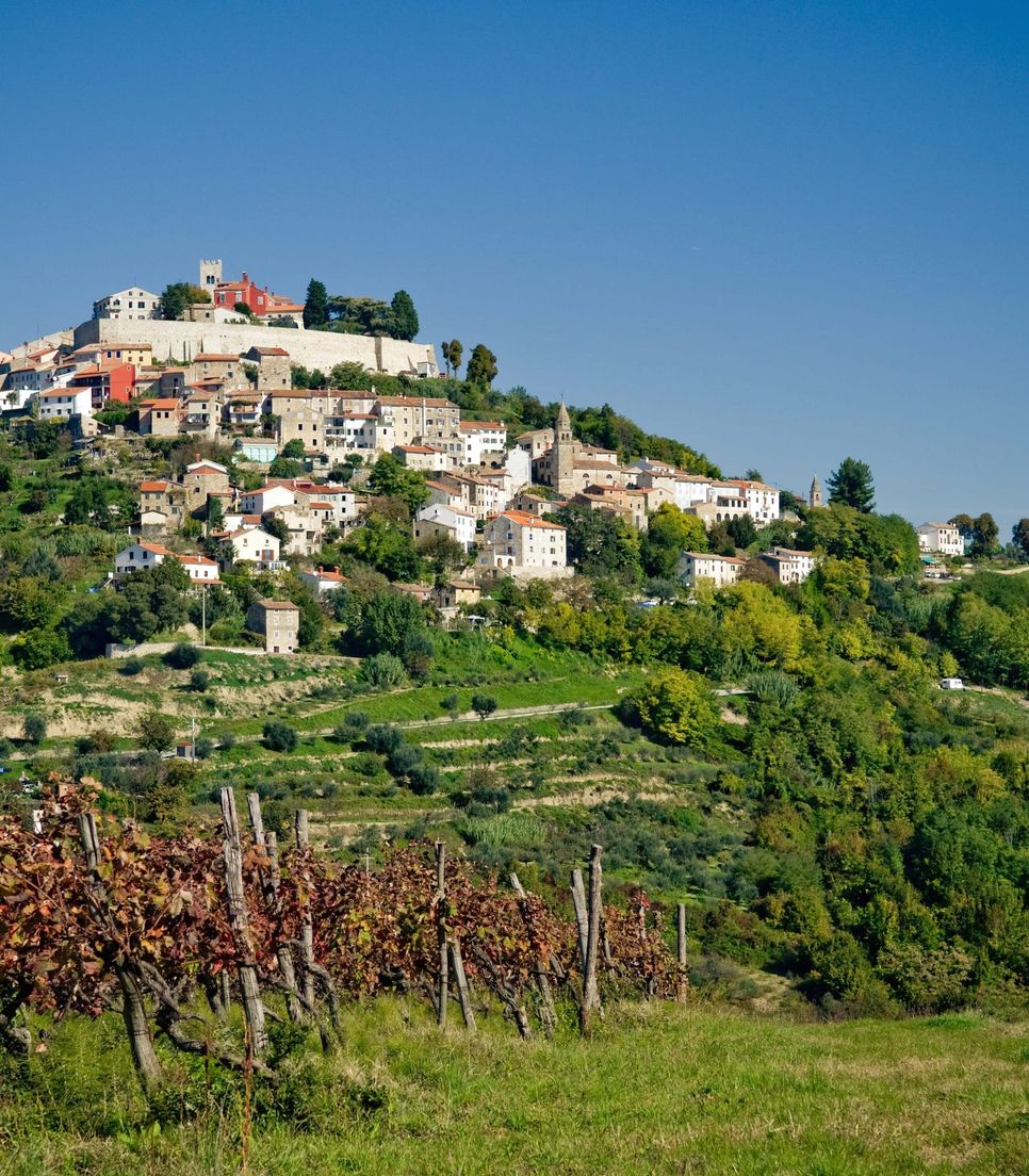 The idyllic view of picturesque Motovun is reminiscent of the Italian Tuscan landscape, beautiful with great tasting wine