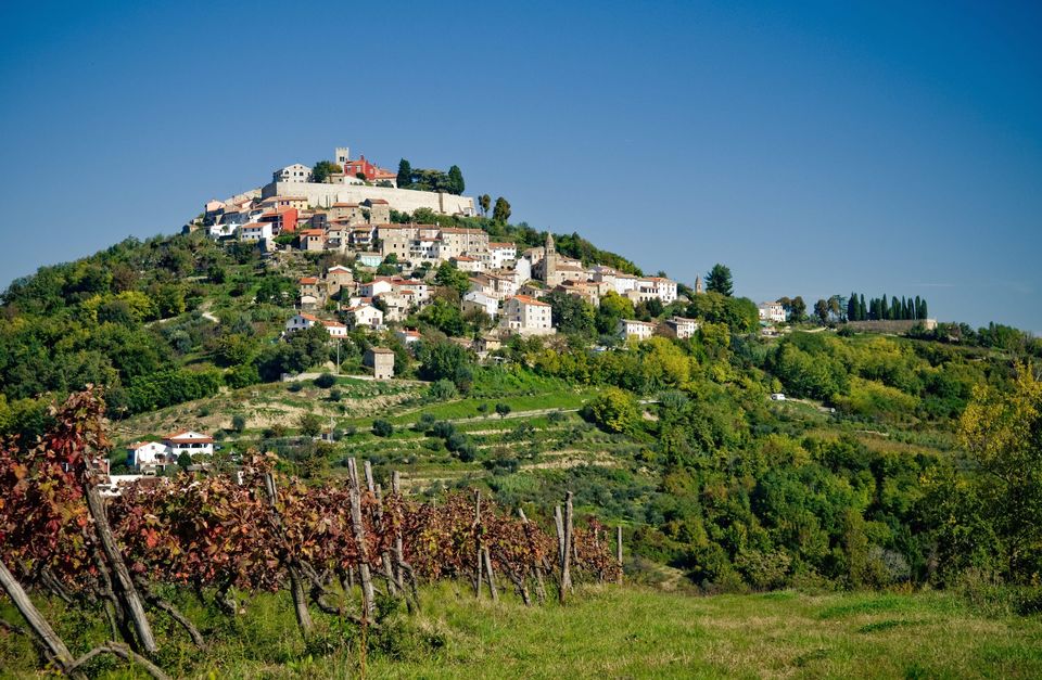 Cycle the Wine Roads of Istria
