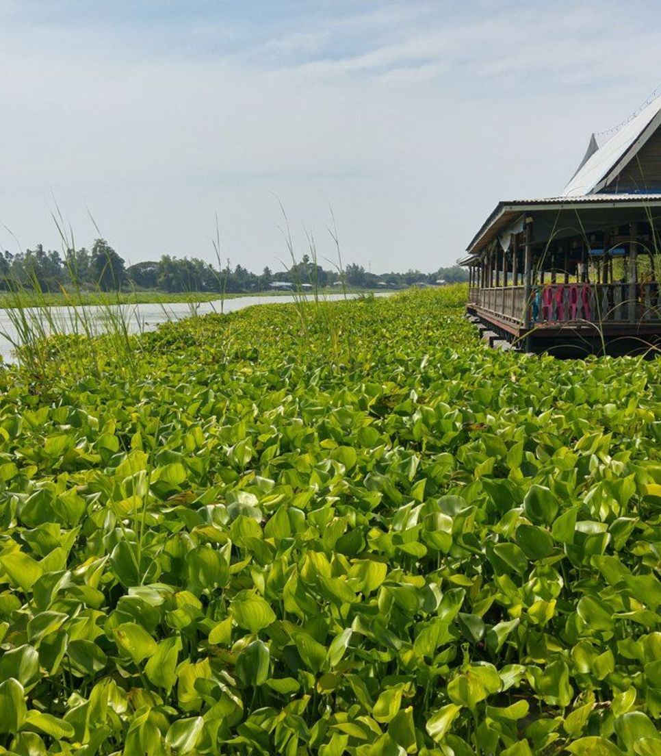 Cycle through the lush and ever-changing scenery as you work your way towards Bangkok